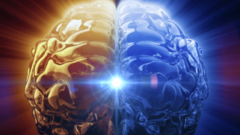 educational-resources-for-healthcare-decision-makers