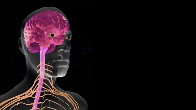 sanofi-nerve-nexus