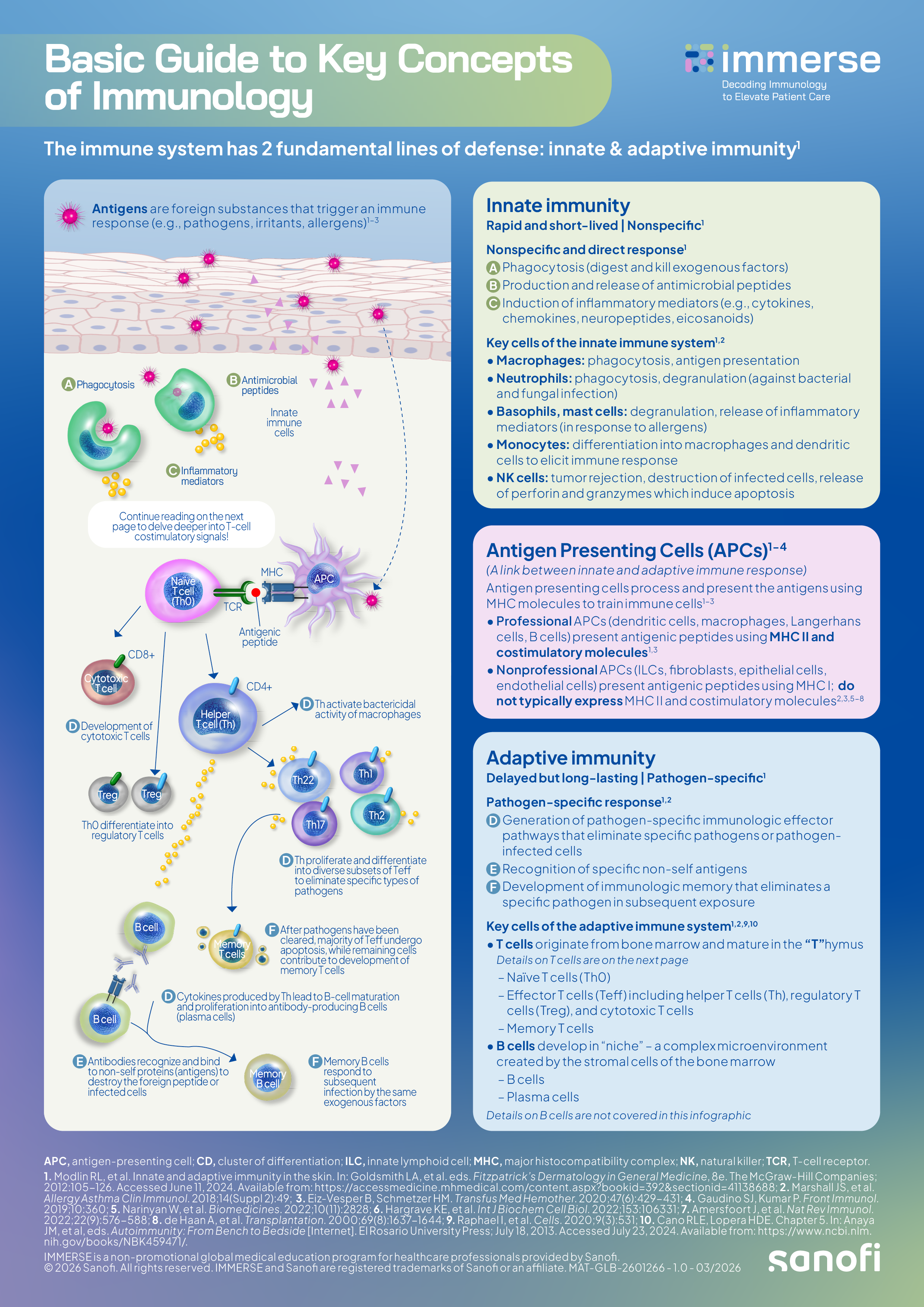 AD visual glossary infographic  