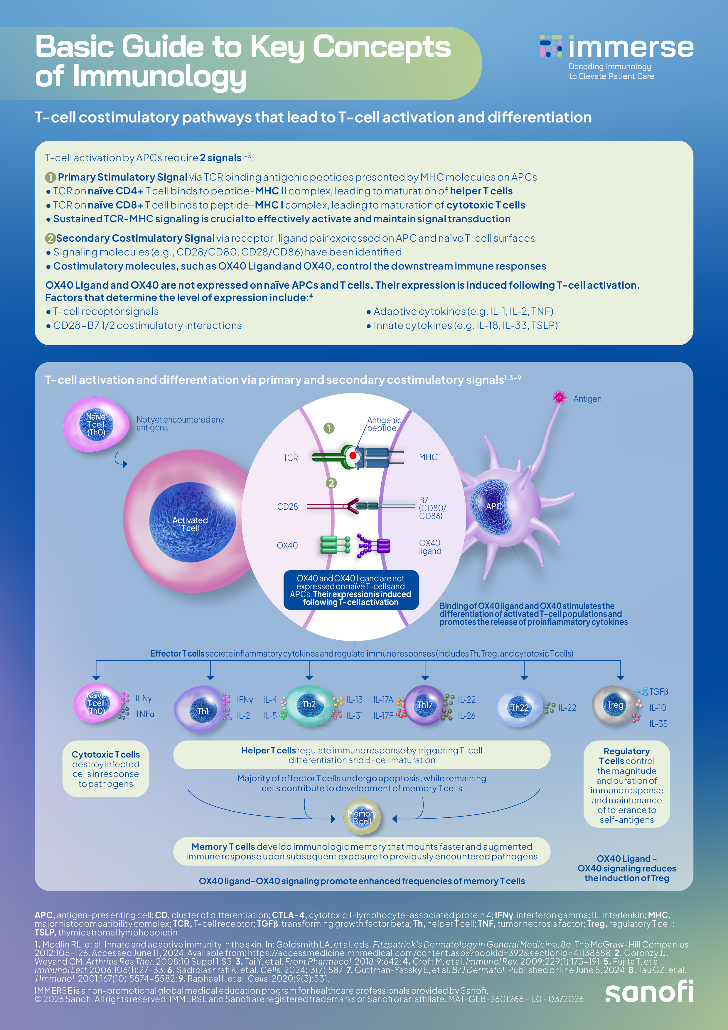 AD visual glossary infographic  