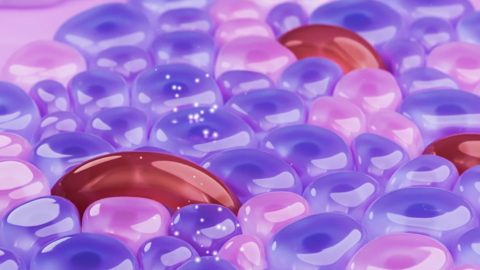 Autoimmune T1D Mechanism of Disease Video